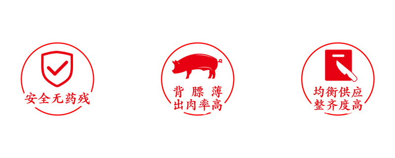 生猪图片.jpg