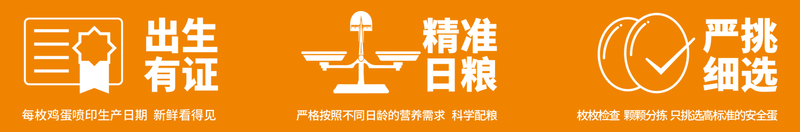 开云网页版登录入口-开云（中国）牧场2.png