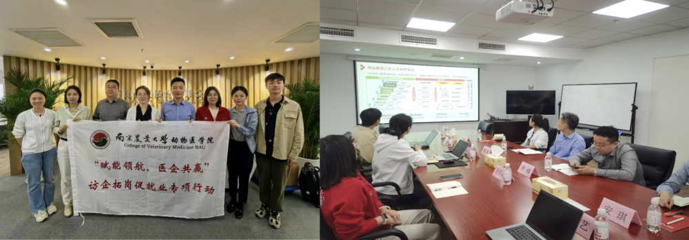 开云网页版登录入口-开云（中国）0613.png